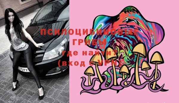 прущая мука Нея