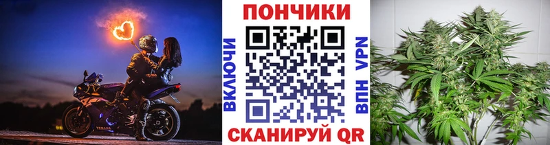 где купить наркоту  Мамоново  Шишки марихуана семена 